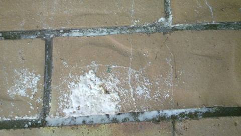 white crust on tile or brick, dry