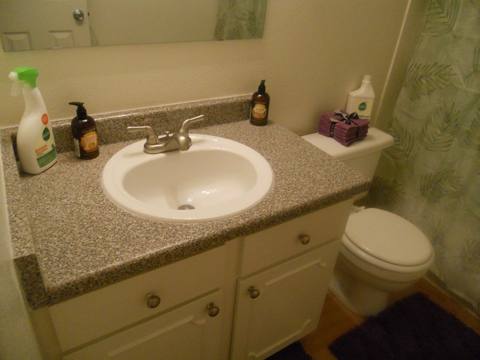 bathroom vanity and toilet