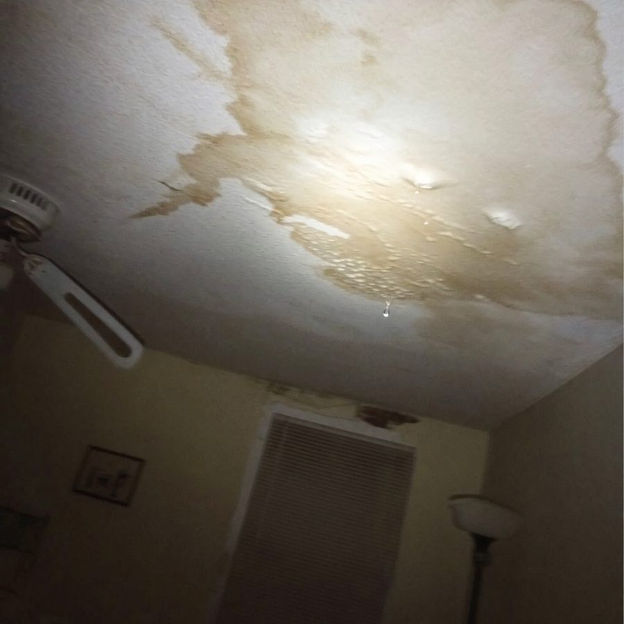 A brown stain spreading across a white ceiling