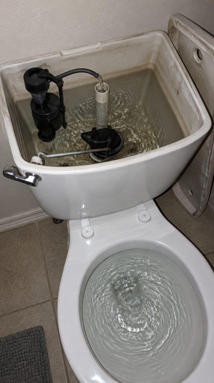 Looking down into an open toilet tank