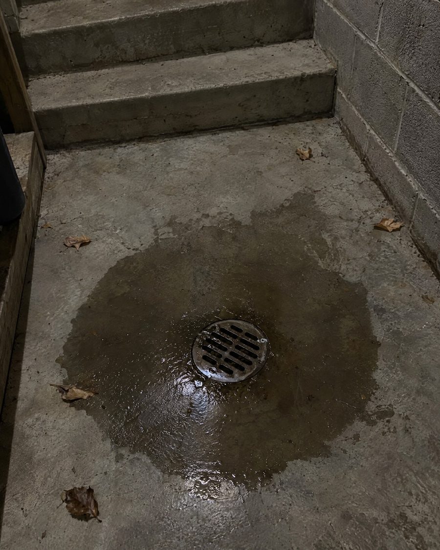 Stand-in picture: water pooled around a basement floor drain at the bottom of concrete stairs